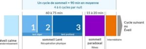 cycle du sommeil Beausoleil